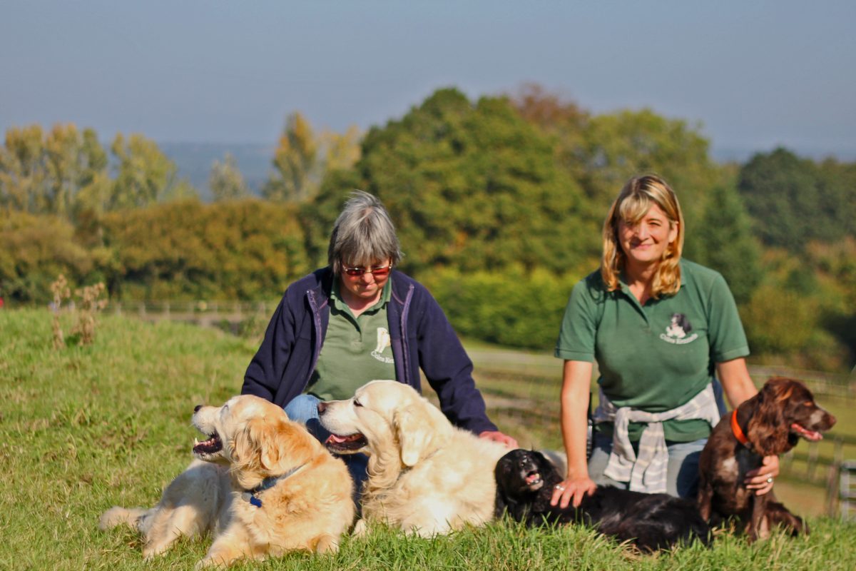 Dog Kennels, in the heart of Surrey • Coles Kennels
